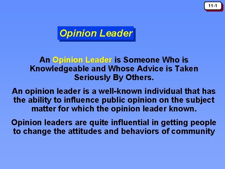 11 -1 Opinion Leader An Opinion Leader is Someone Who is Opinion Leader Knowledgeable