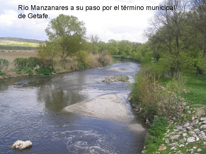 Río Manzanares a su paso por el término municipal de Getafe. 