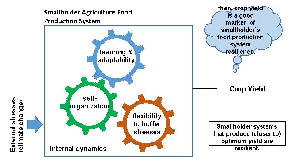 Smallholder Agriculture Food Production System learning & adaptability then, crop yield is a good