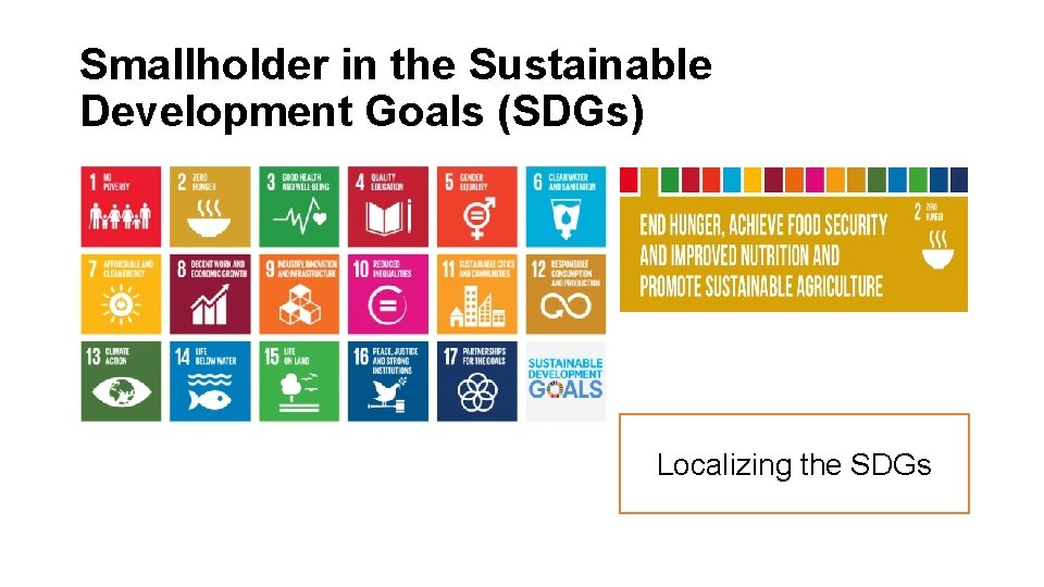Smallholder in the Sustainable Development Goals (SDGs) Localizing the SDGs 