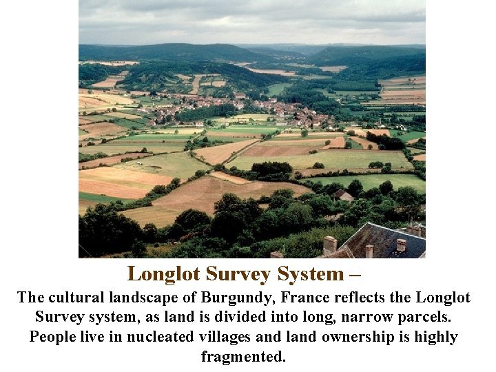 Longlot Survey System – The cultural landscape of Burgundy, France reflects the Longlot Survey
