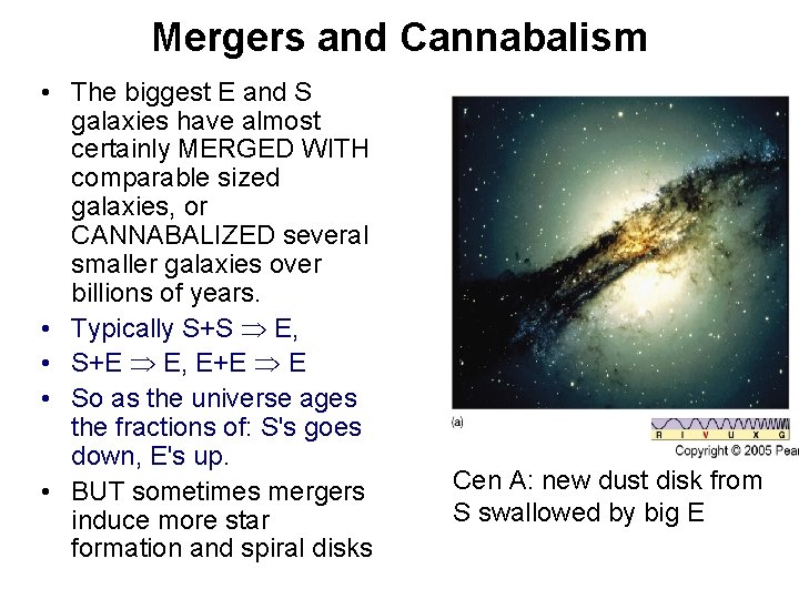 Mergers and Cannabalism • The biggest E and S galaxies have almost certainly MERGED