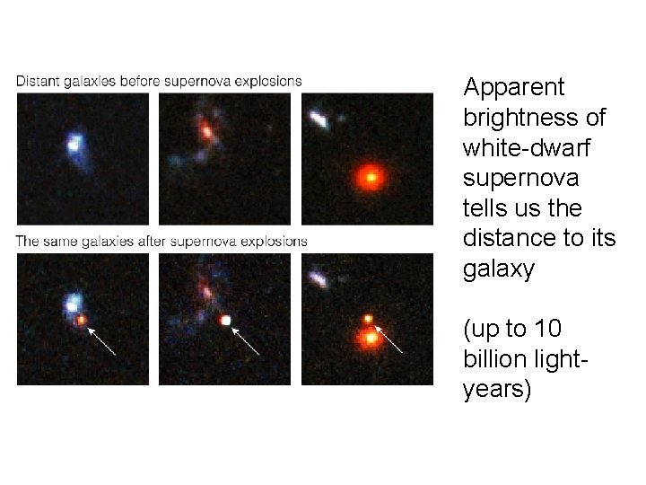 Apparent brightness of white-dwarf supernova tells us the distance to its galaxy (up to