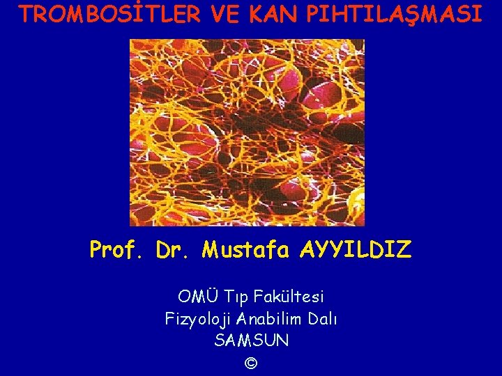 TROMBOSİTLER VE KAN PIHTILAŞMASI Prof. Dr. Mustafa AYYILDIZ OMÜ Tıp Fakültesi Fizyoloji Anabilim Dalı