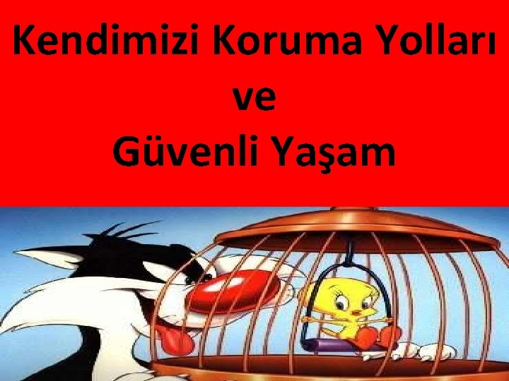 Kendimizi Koruma Yolları ve Güvenli Yaşam 