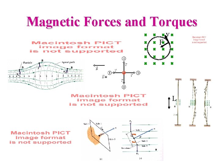 Magnetic Forces and Torques v F L 