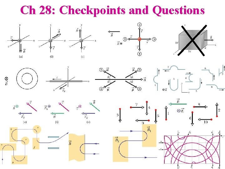 Ch 28: Checkpoints and Questions 