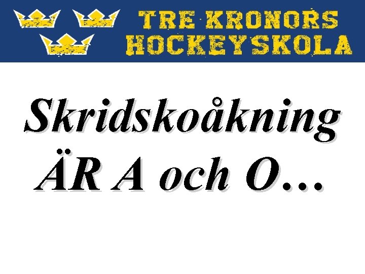 Skridskoåkning ÄR A och O… 