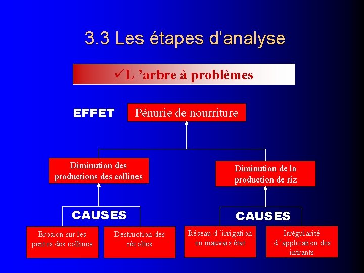 3. 3 Les étapes d’analyse L ’arbre à problèmes EFFET Pénurie de nourriture Diminution