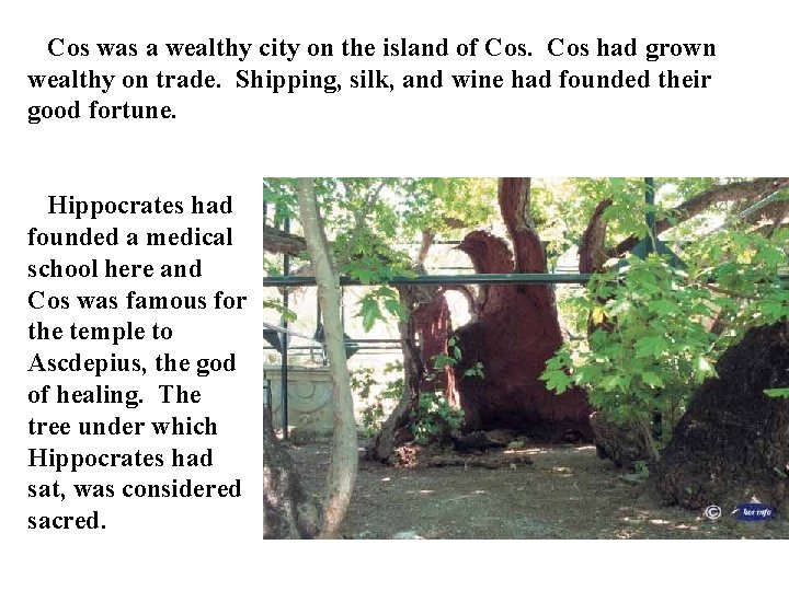 Cos was a wealthy city on the island of Cos had grown wealthy on Cos was a wealthy city on the island of Cos had grown wealthy on
