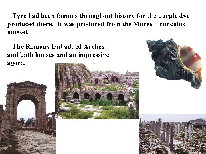 Tyre had been famous throughout history for the purple dye produced there. It was Tyre had been famous throughout history for the purple dye produced there. It was