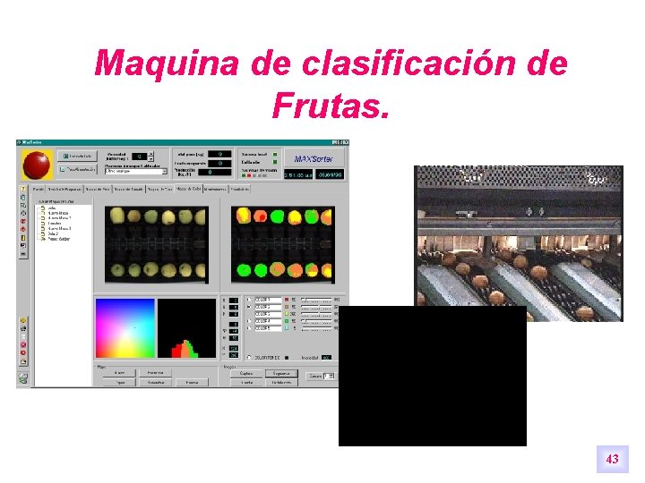 Maquina de clasificación de Frutas. 43 Maquina de clasificación de Frutas. 43