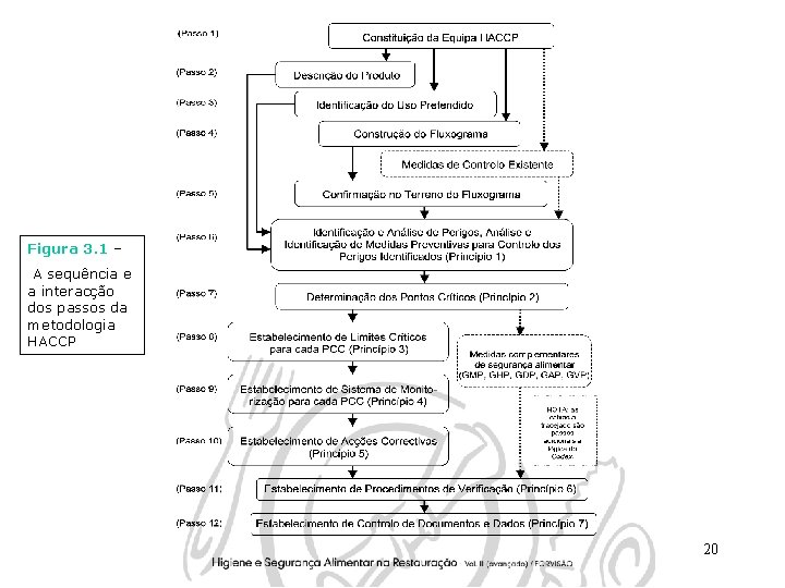 Figura 3. 1 – A sequência e a interacção dos passos da metodologia HACCP