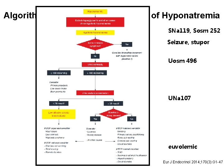 Algorithm for differential diagnosis of Hyponatremia SNa 119, Sosm 252 Seizure, stupor Uosm 496