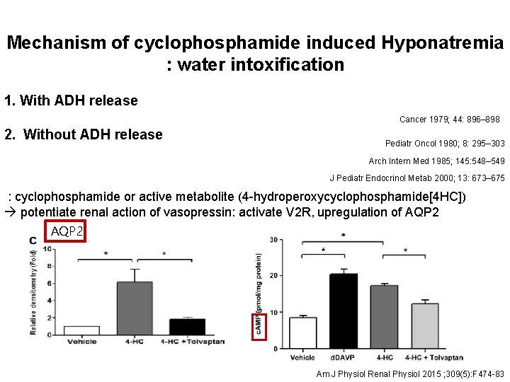 Mechanism of cyclophosphamide induced Hyponatremia : water intoxification 1. With ADH release Cancer 1979;