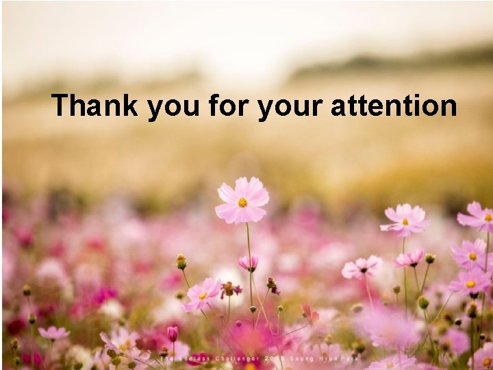 Thank you for your attention Thank you for your attention
