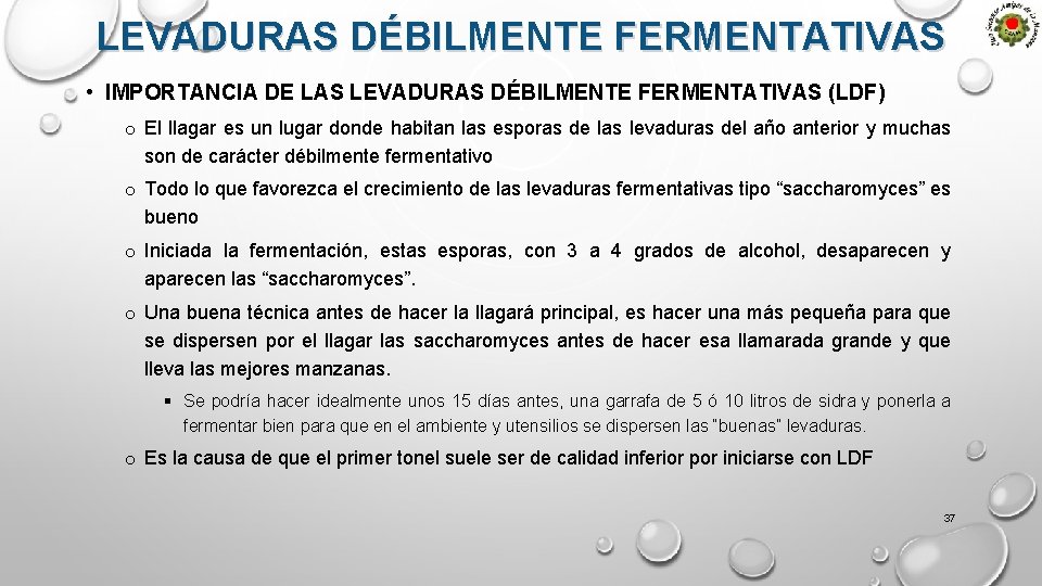 LEVADURAS DÉBILMENTE FERMENTATIVAS • IMPORTANCIA DE LAS LEVADURAS DÉBILMENTE FERMENTATIVAS (LDF) o El llagar