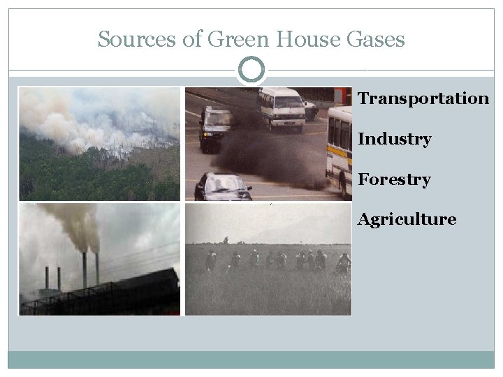 Sources of Green House Gases Transportation Industry Forestry Agriculture 