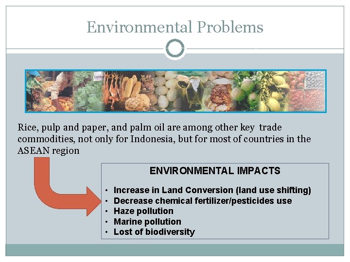 Environmental Problems Rice, pulp and paper, and palm oil are among other key trade