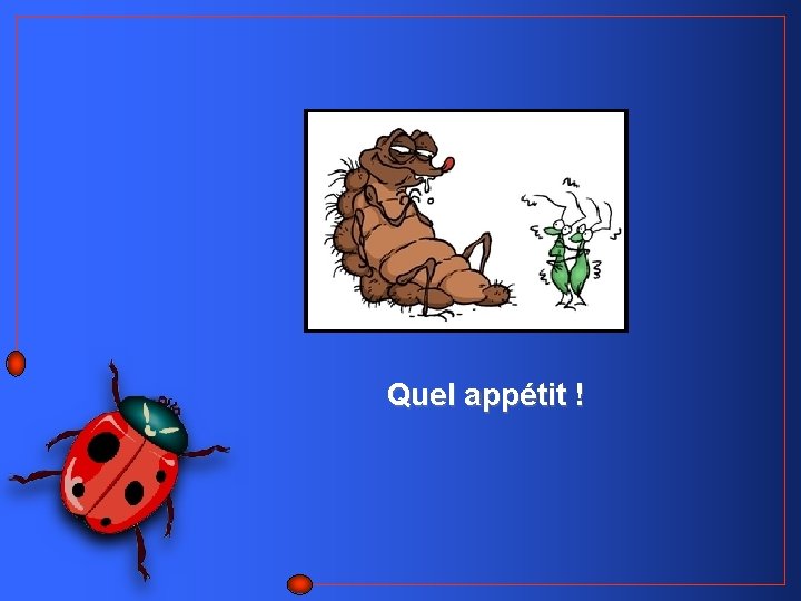 Quel appétit ! 