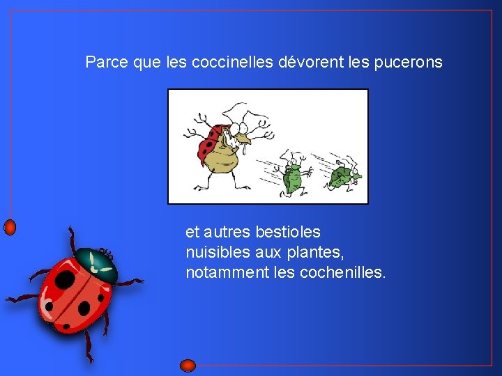  Parce que les coccinelles dévorent les pucerons et autres bestioles nuisibles aux plantes,