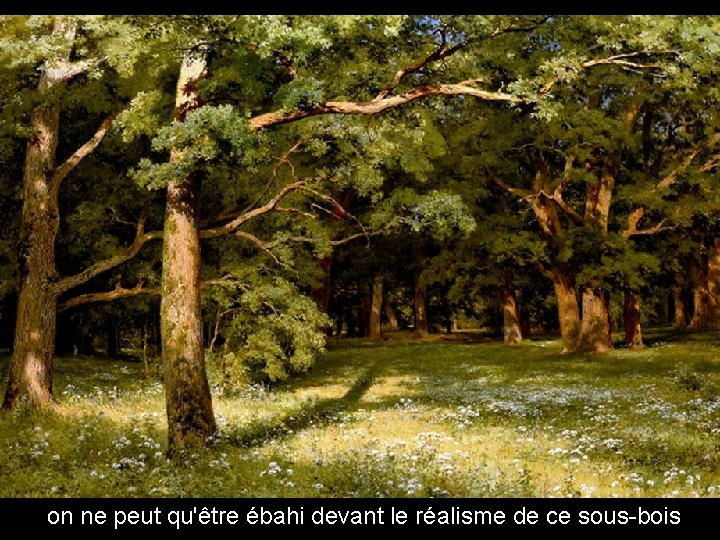 on ne peut qu'être ébahi devant le réalisme de ce sous-bois 