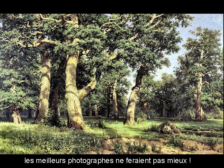 les meilleurs photographes ne feraient pas mieux ! 