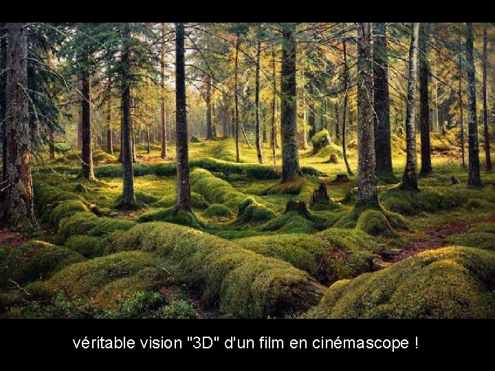 véritable vision "3 D" d'un film en cinémascope ! 