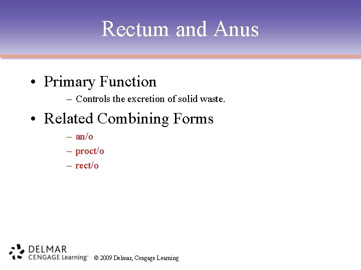 Rectum and Anus • Primary Function – Controls the excretion of solid waste. •