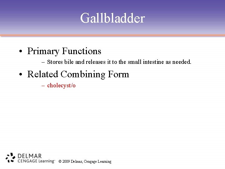 Gallbladder • Primary Functions – Stores bile and releases it to the small intestine