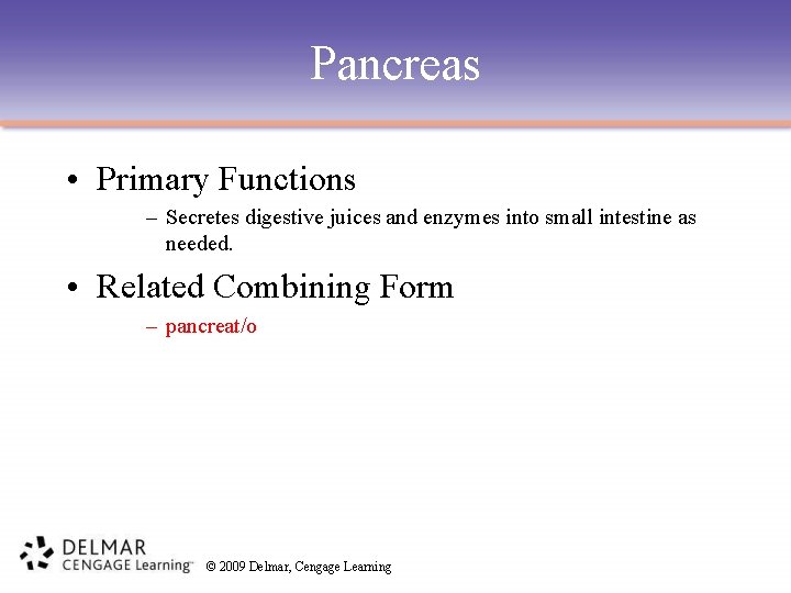 Pancreas • Primary Functions – Secretes digestive juices and enzymes into small intestine as