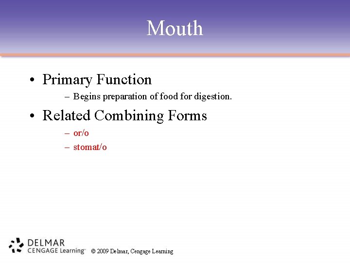 Mouth • Primary Function – Begins preparation of food for digestion. • Related Combining