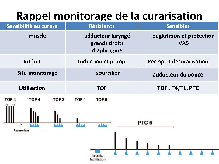 Rappel monitorage de la curarisation Sensibilité au curare muscle Intérêt Résistants adducteur laryngé grands