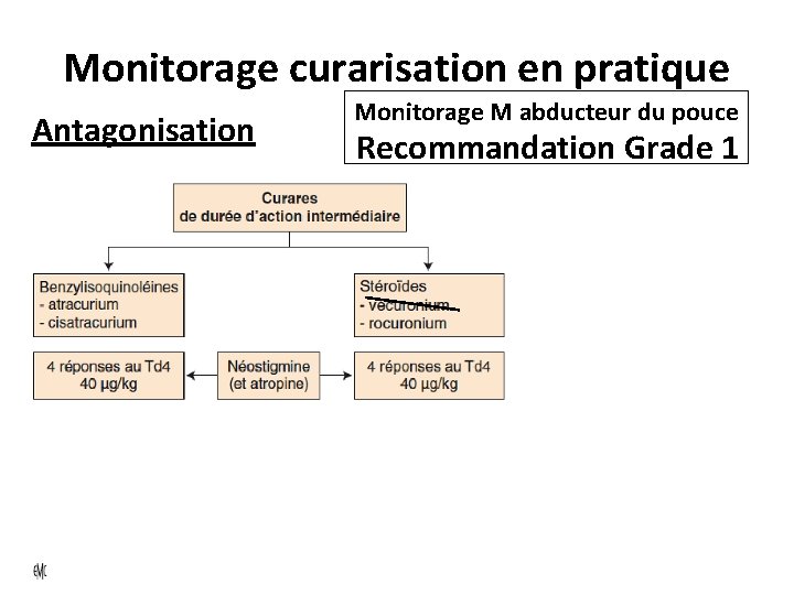 Monitorage curarisation en pratique Antagonisation Monitorage M abducteur du pouce Recommandation Grade 1 TOF