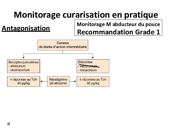 Monitorage curarisation en pratique Antagonisation Monitorage M abducteur du pouce Recommandation Grade 1 TOF