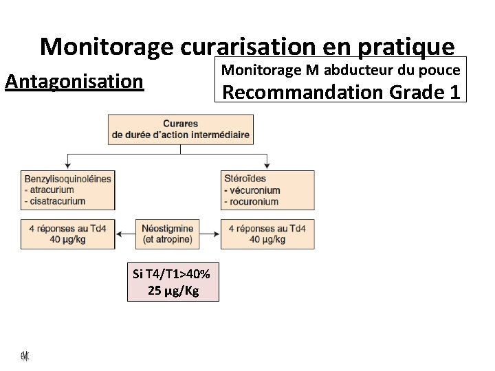 Monitorage curarisation en pratique Antagonisation Monitorage M abducteur du pouce Recommandation Grade 1 Si