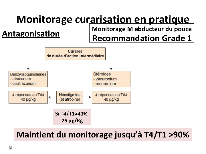 Monitorage curarisation en pratique Antagonisation Monitorage M abducteur du pouce Recommandation Grade 1 Si