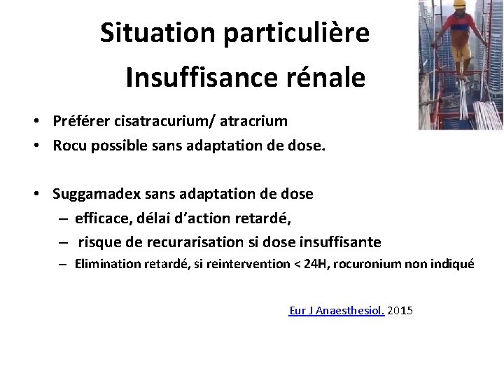 Situation particulière Insuffisance rénale • Préférer cisatracurium/ atracrium • Rocu possible sans adaptation de