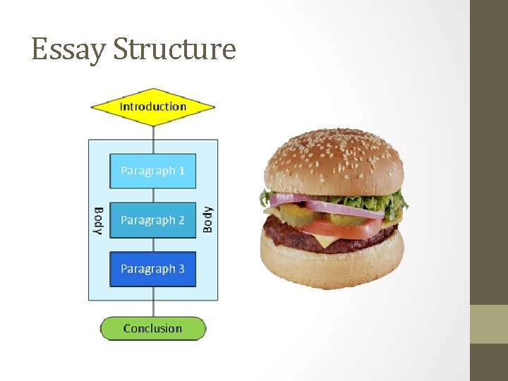 Essay Structure 