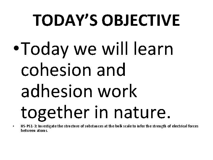 TODAY’S OBJECTIVE • Today we will learn cohesion and adhesion work together in nature.