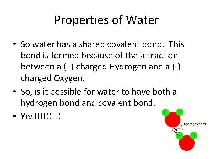Properties of Water • So water has a shared covalent bond. This bond is