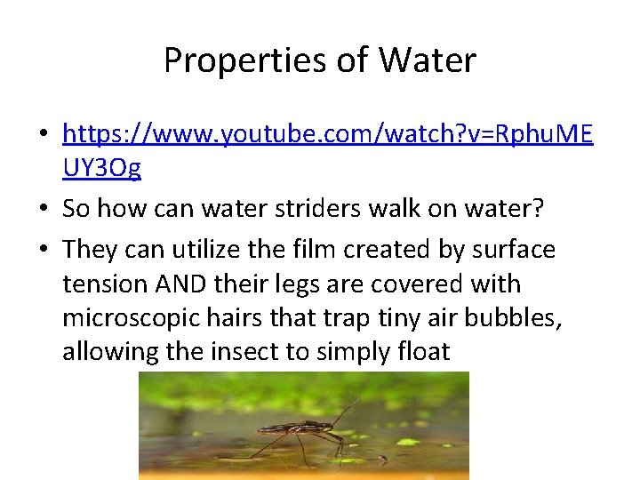 Properties of Water • https: //www. youtube. com/watch? v=Rphu. ME UY 3 Og •