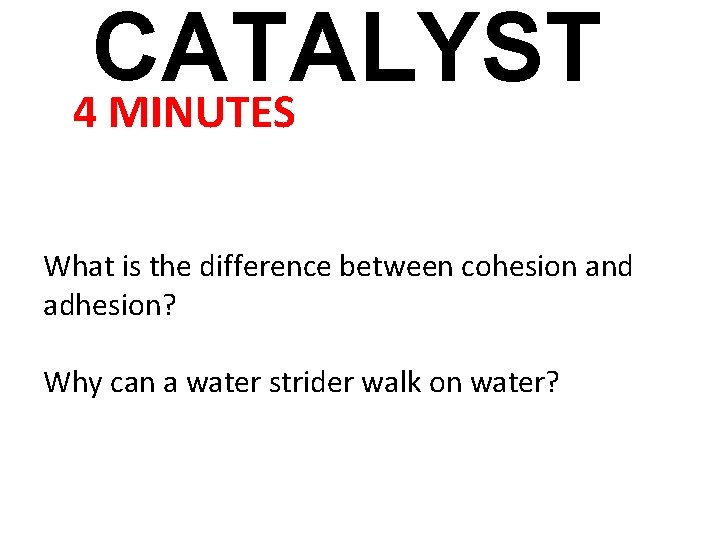 CATALYST 4 MINUTES What is the difference between cohesion and adhesion? Why can a