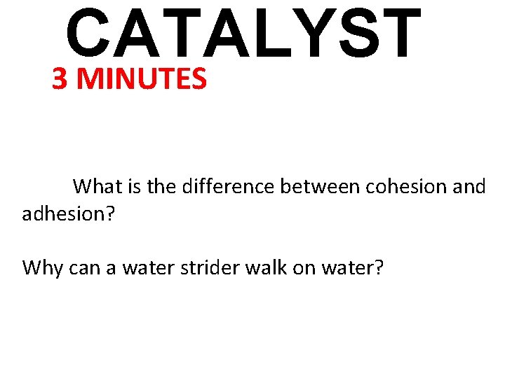 CATALYST 3 MINUTES What is the difference between cohesion and adhesion? Why can a