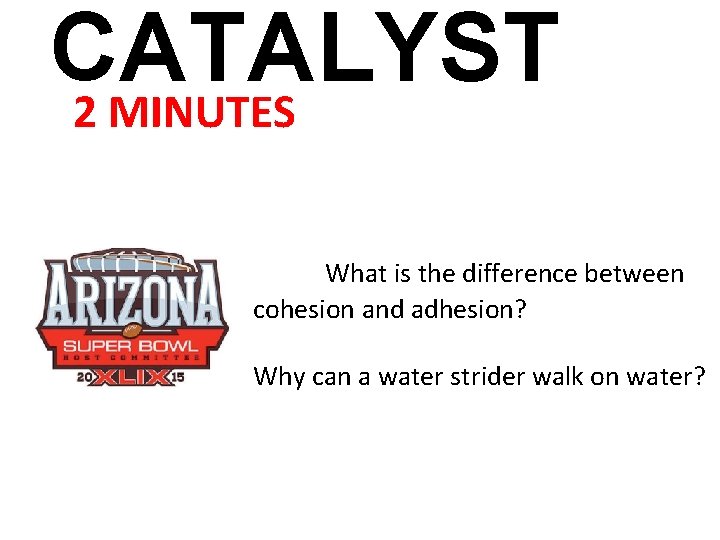 CATALYST 2 MINUTES What is the difference between cohesion and adhesion? Why can a