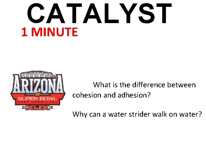 CATALYST 1 MINUTE What is the difference between cohesion and adhesion? Why can a