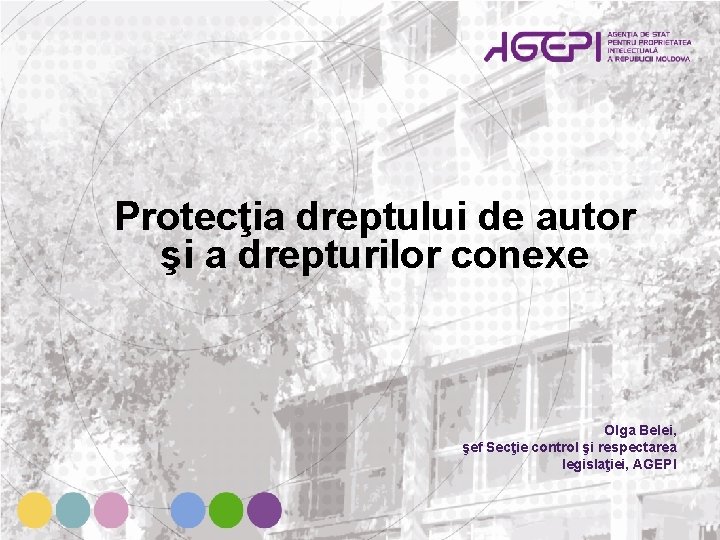 Protecţia dreptului de autor şi a drepturilor conexe Olga Belei, şef Secţie control şi