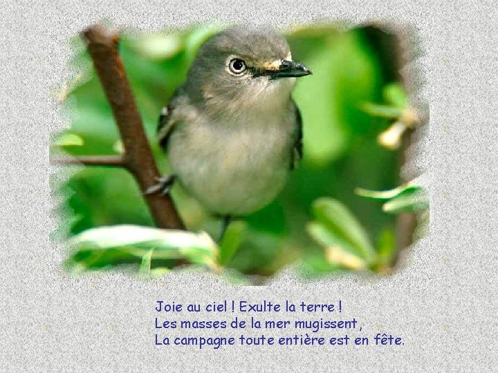 Joie au ciel ! Exulte la terre ! Les masses de la mer mugissent,