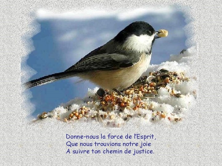 Donne-nous la force de l’Esprit, Que nous trouvions notre joie A suivre ton chemin