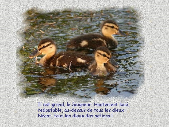 Il est grand, le Seigneur, Hautement loué, redoutable, au-dessus de tous les dieux :